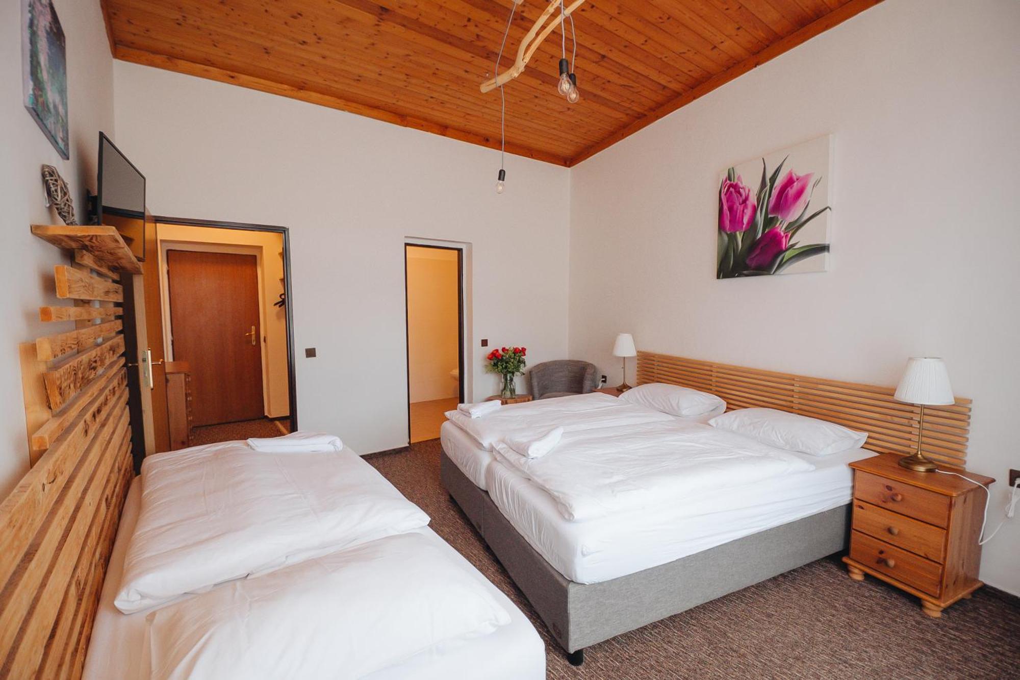 Pension Mona Harrachov Exterior foto